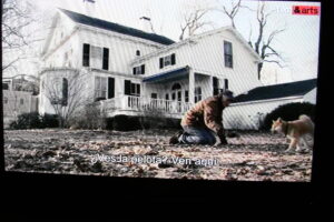 ¿Ves la pelota? Ven aquí.